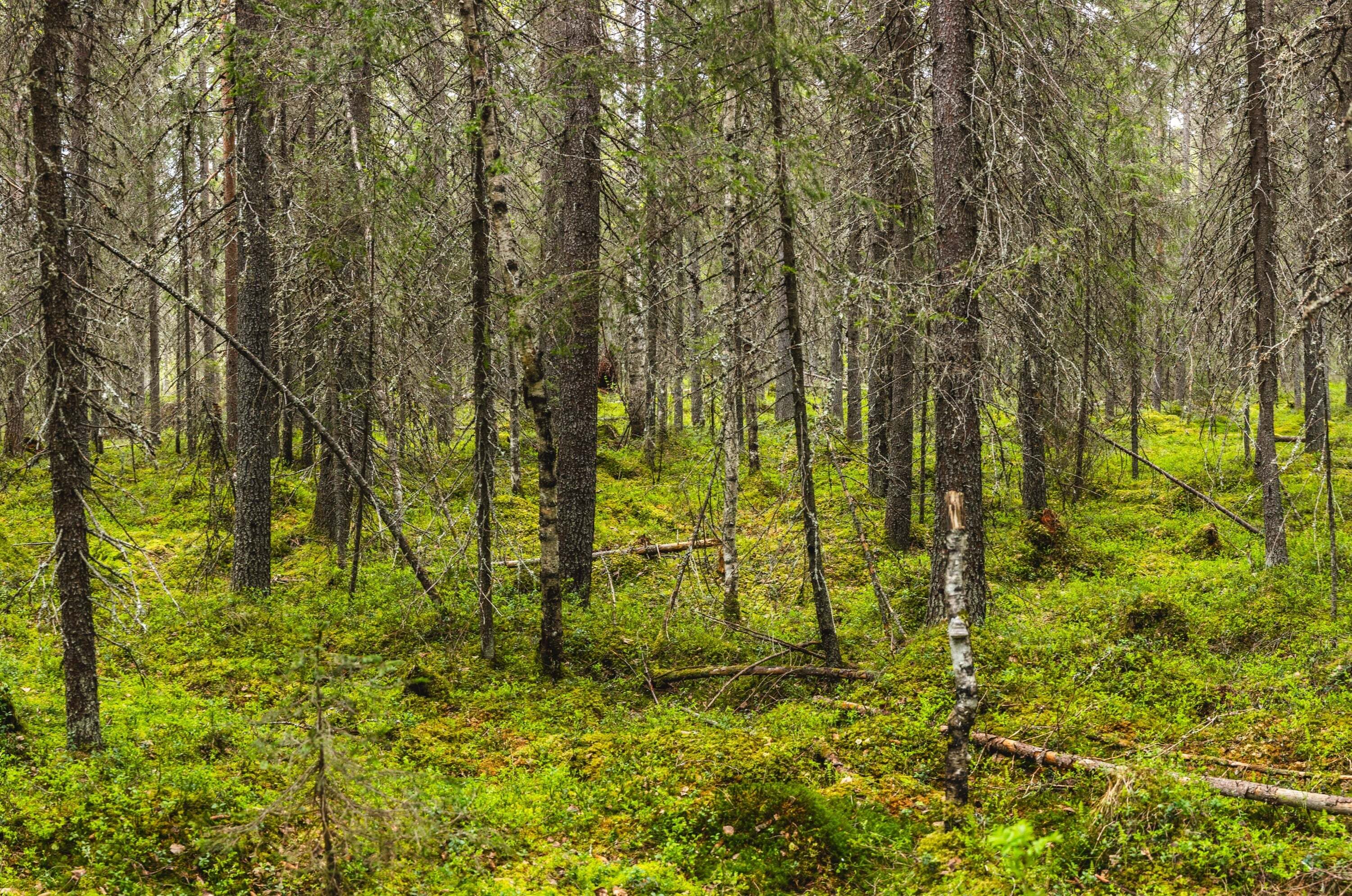 Kiertotalousteko -23 iso 141