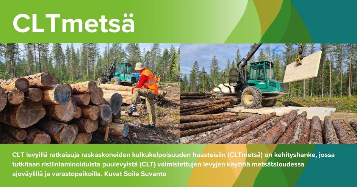 CLTmetsä on kehityshanke, jossa tutkitaan ristiinlaminoiduista puulevyistä (CLT) valmistettujen levyjen käyttöä metsätaloudessa ja varastopaikoilla. Kuva Soile Suvanto Kemin Digipolis oy