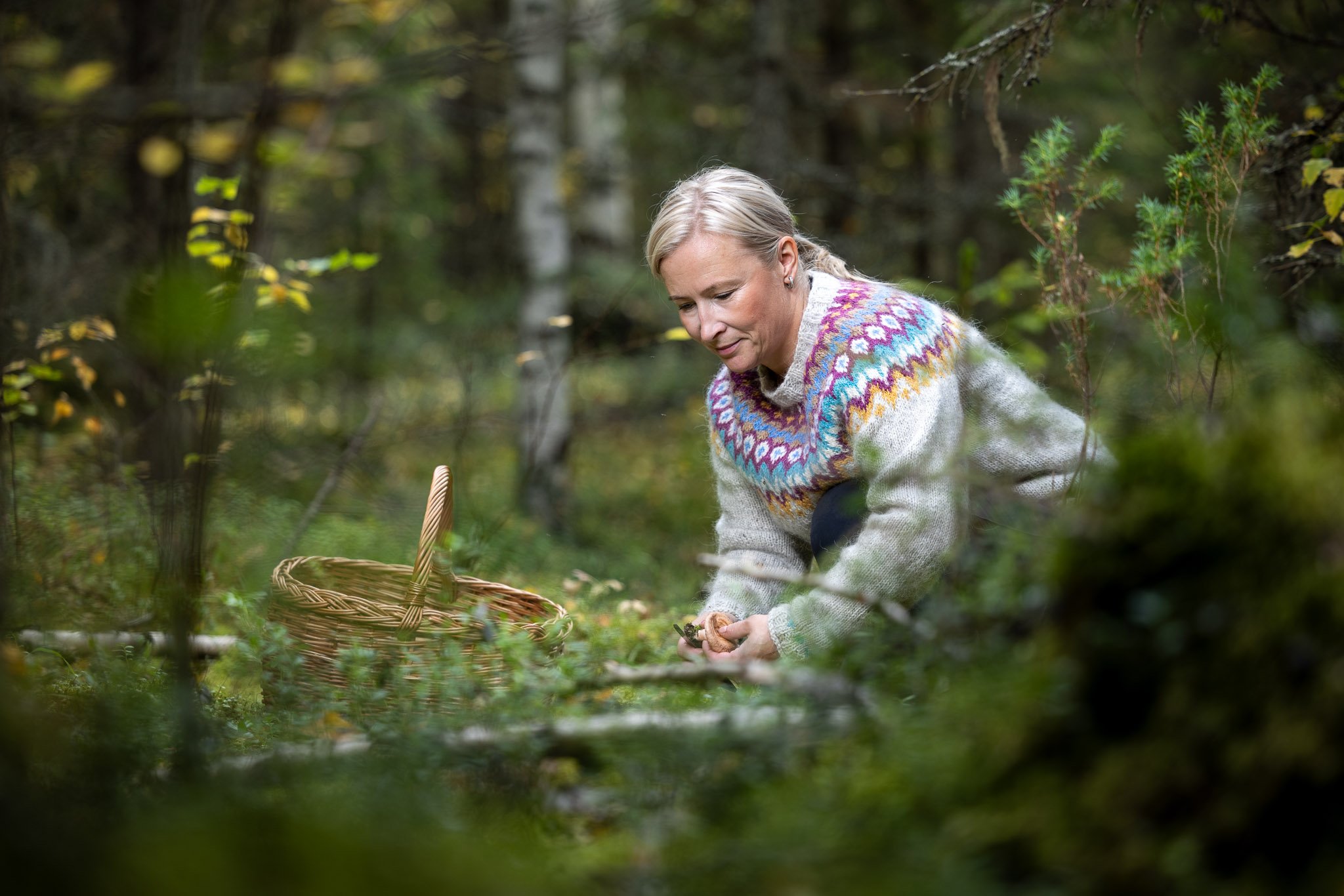 Kirsi-hanke, kuva Kuvavuorinen kuvan käyttöoikeus vain Kirsi-hankkeessa