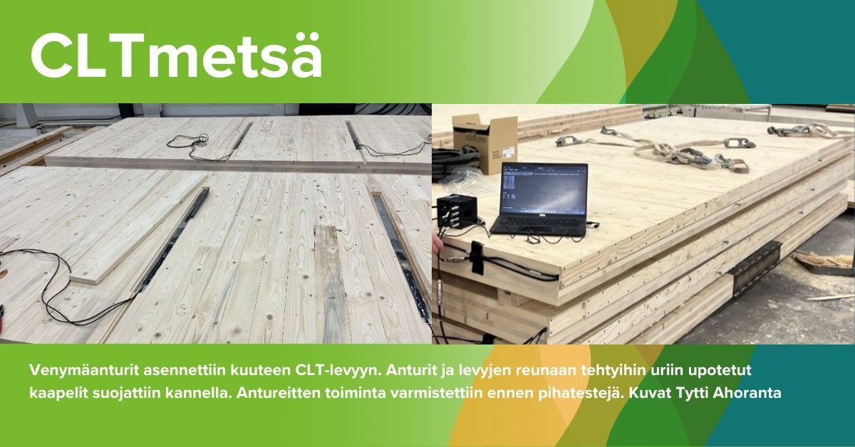 CLTmetsä venymäanturit asennettiin kuuteen CLT-levyyn. Anturit ja levyjen reunaan tehtyihin uriin upotetut kaapelit suojattiin kannella. Antureitten toiminta varmistettiin ennen pihatesteja. Kuvat Tytti Ahoranta