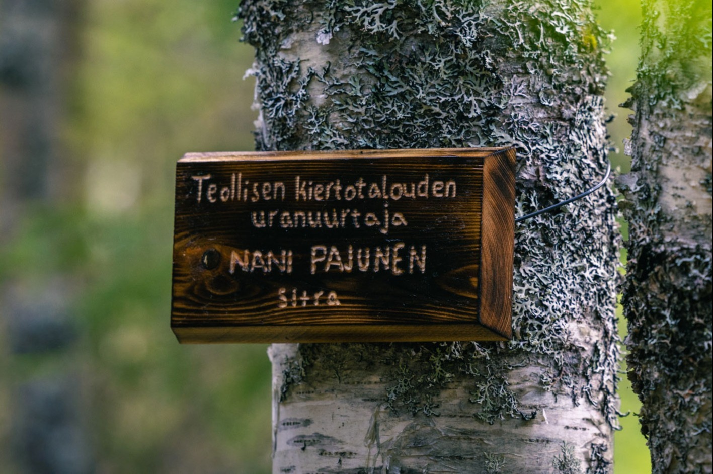 Vuoden-kiertotalousteko-nani-pajunen