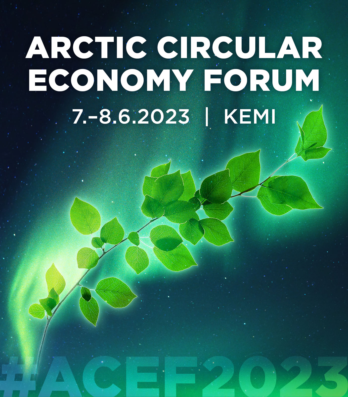 ACEF2023-poster4
