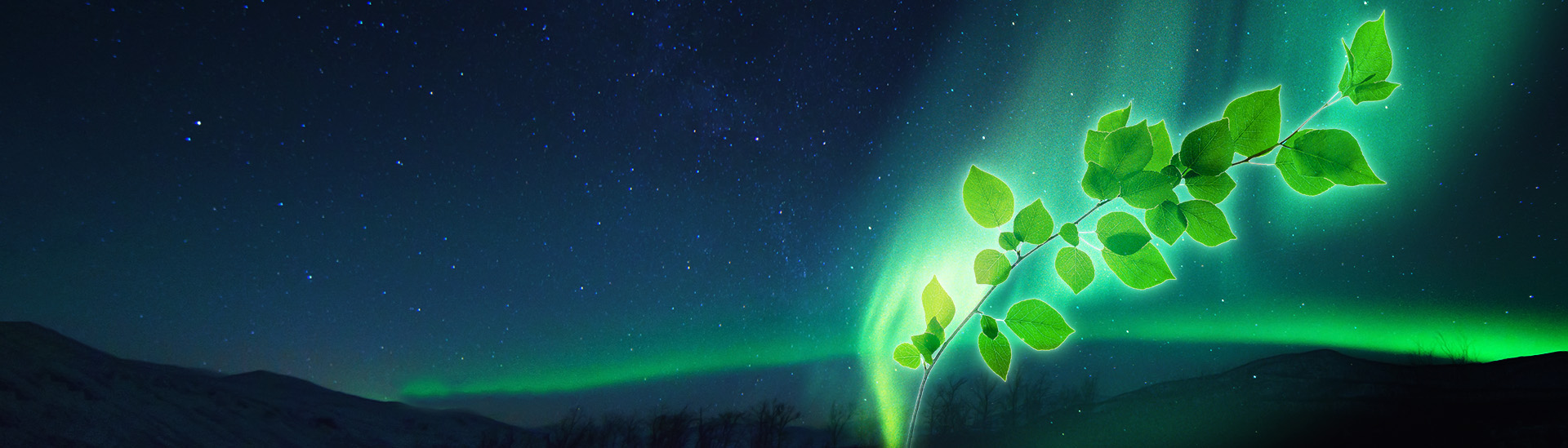 ACEF2023_header4