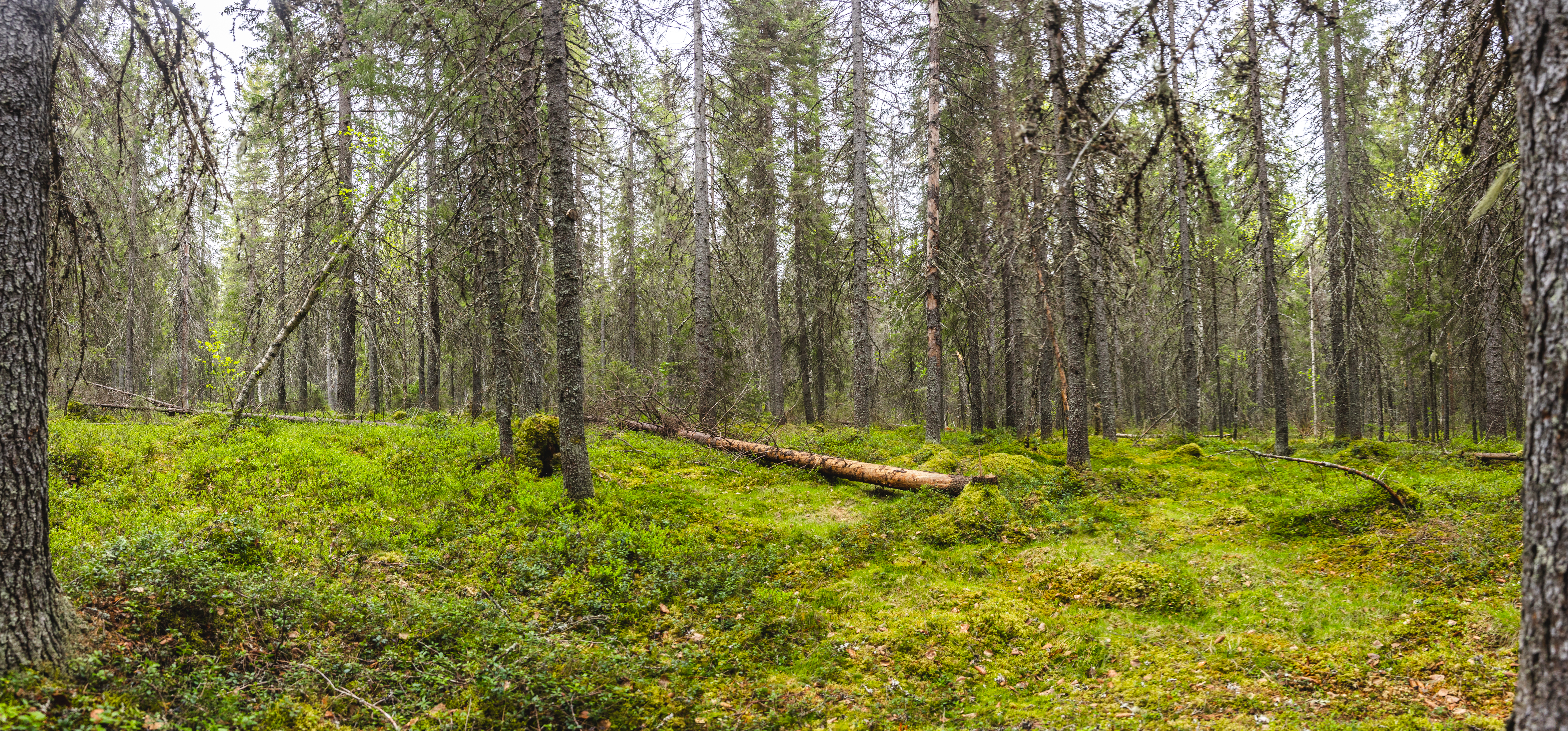 Kiertotalousteko -23 iso 142