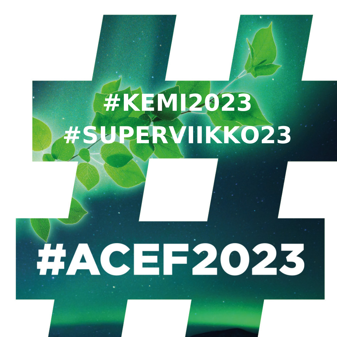 acefsupERVIIKKOHÄSTÄG-1